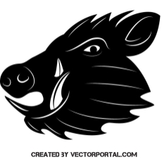 Wild Hog Vector at Vectorified.com | Collection of Wild Hog Vector free