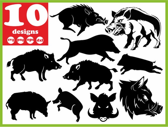 Boar Wild Boar Digital Pig Download Silhouette Vector Etsy 570x430 Boar Wild Boar Digital Pig Download Silhouette Vector Etsy