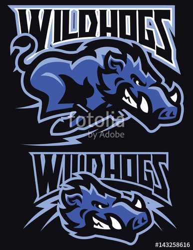 Charging Wild Hog Mascot Set Stock Image And Royalty Free Vector 387x500 Charging Wild Hog Mascot Set Stock Image And Royalty Free Vector