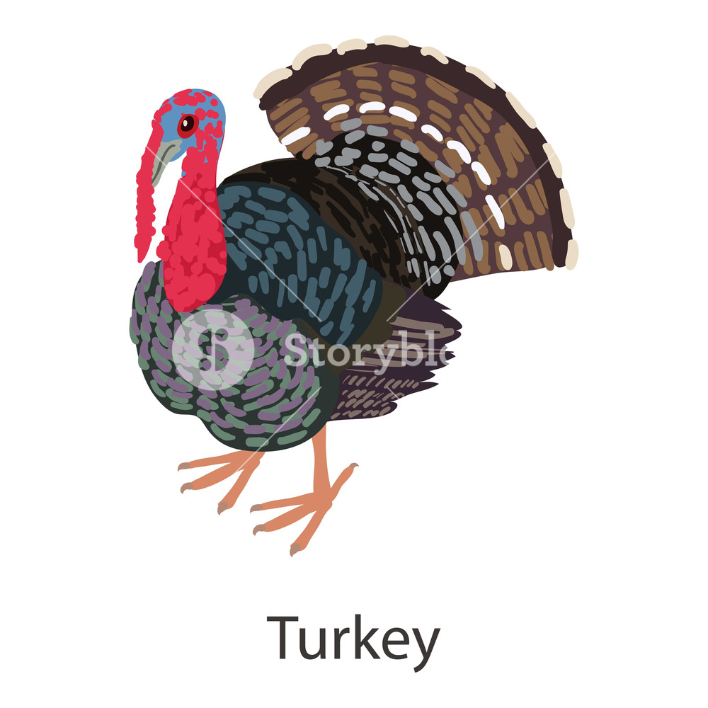 1000x1000 Turkey Icon Isometric Illustration Of Turkey Vector Icon For Web