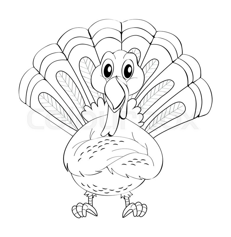 782x800 Animal Doodle For Wild Turkey Stock Vector Colourbox