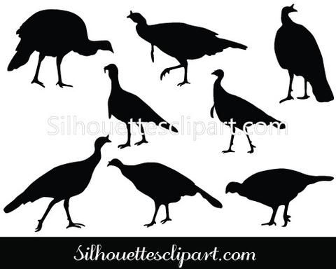 480x384 Wild Turkey Silhouette Vector Siloette Ideas Silhouette Vector