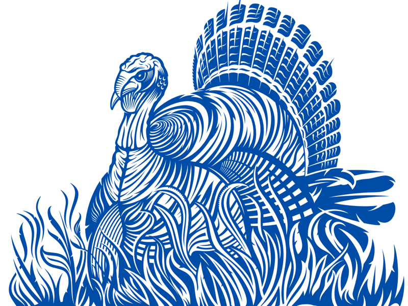 800x600 Wild Turkey Vector Packaging Artwork