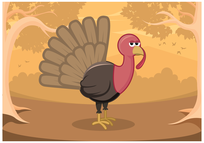 700x490 Wild Turkey Vector In Forest