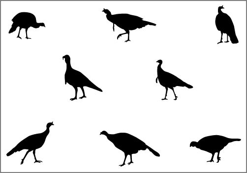 502x352 Birds Vector Graphics Archives Silhouette Clip Artsilhouette