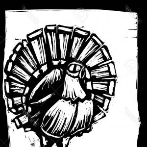 300x300 Flat Style Of Turkey Vector Hoodamathrun