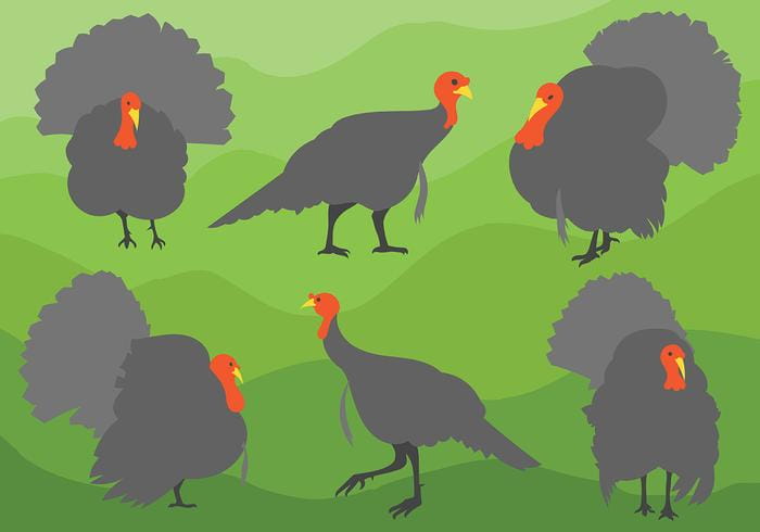 700x490 Free Wild Turkey Icons Vector Free Graphics Uihere
