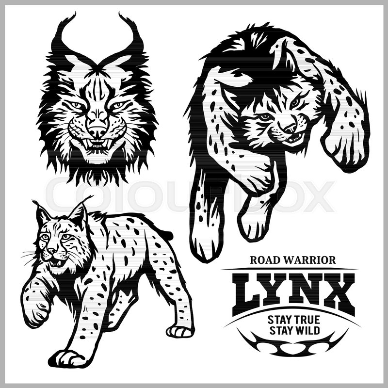 800x800 Lynx Wildcat Logo Mascot Illustration Stock Vector Colourbox