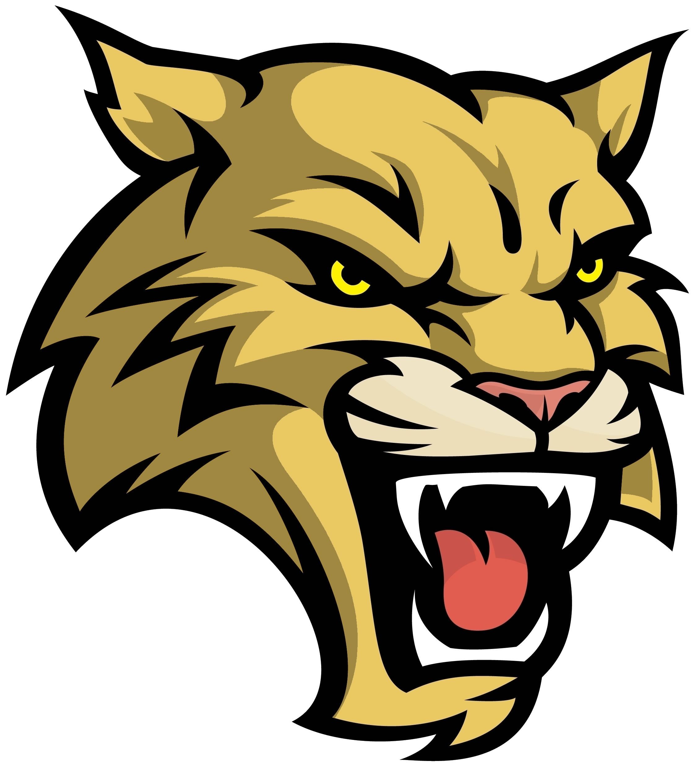 2256x2472 El Gato Bob Band Logo Design, Panther Logo