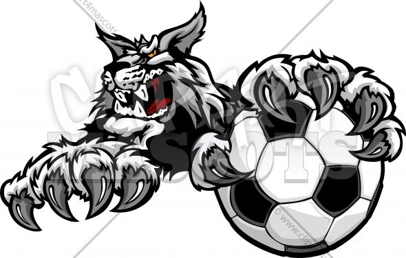 590x376 Soccer Wildcat Logo Graphic Vector Cartoon