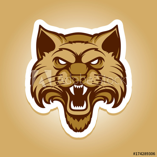500x500 Wildcat Logo Cat Head Logotype Cartoon Character Vector Great