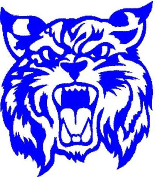 528x600 Wildcat Logo Blue Image