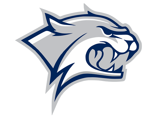 641x481 Hd Grey Wildcat Logo Mascot Template Vector