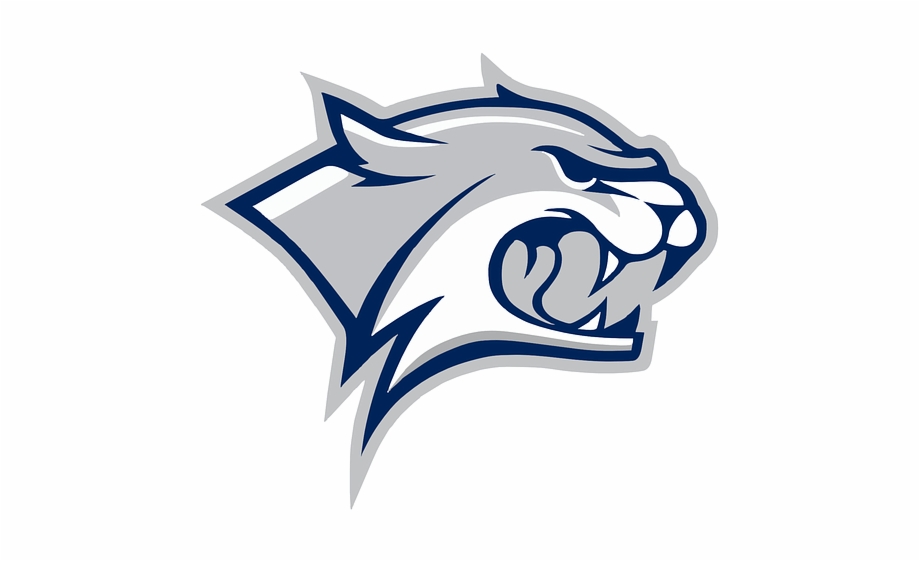 920x561 Grey Wildcat Logo Mascot Template Vector