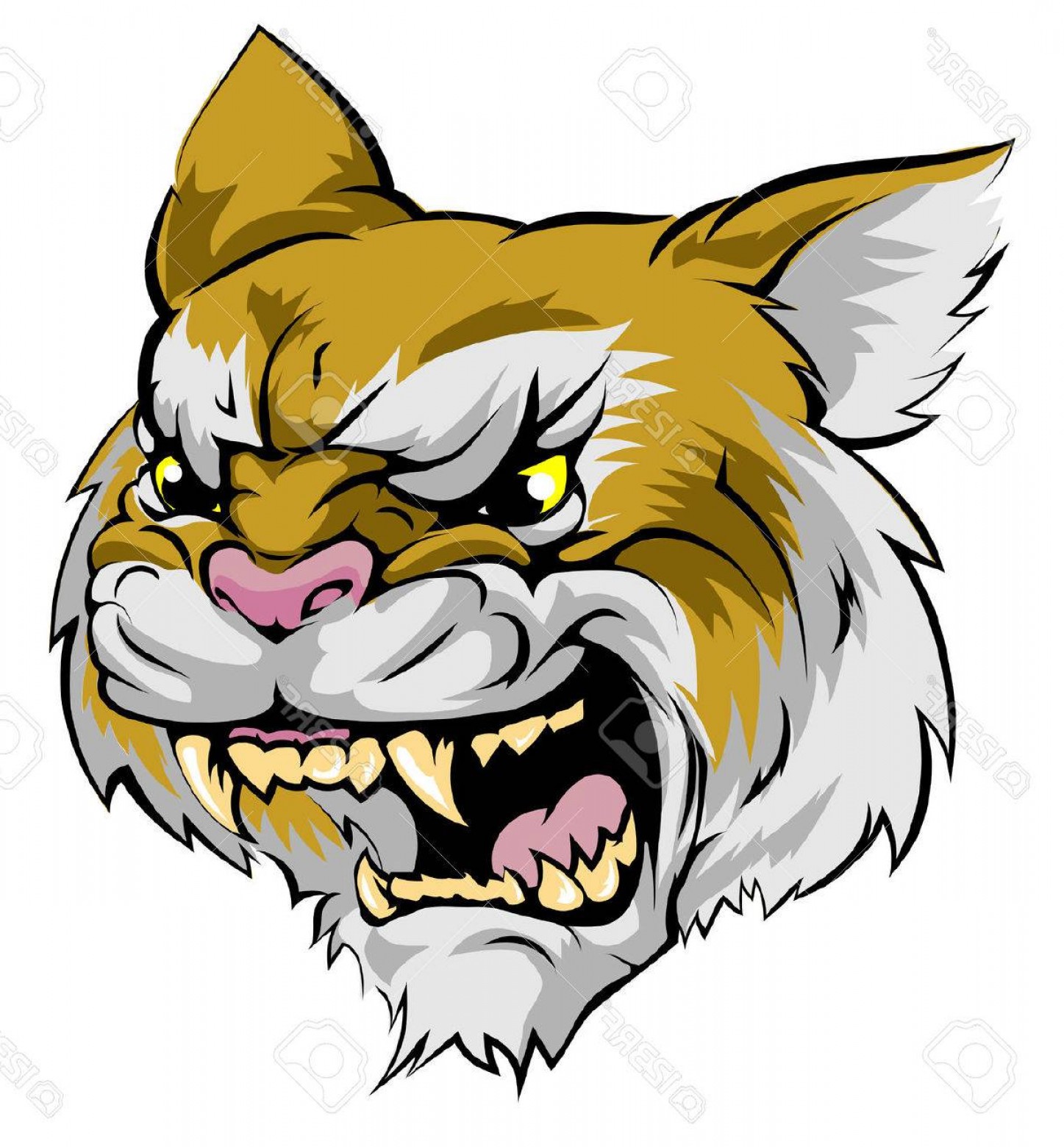 1447x1560 Photostock Vector An Illustration Of A Fierce Wildcat Animal