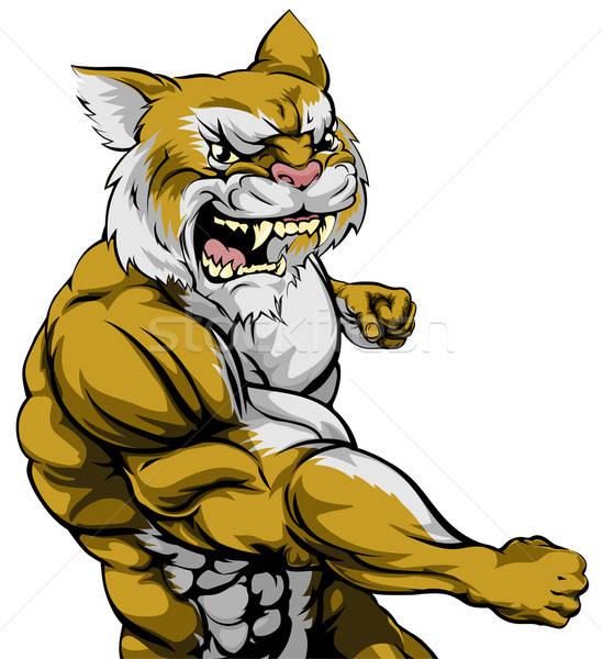 549x600 Punching Wildcat Mascot Vector Illustration Christos Georghiou