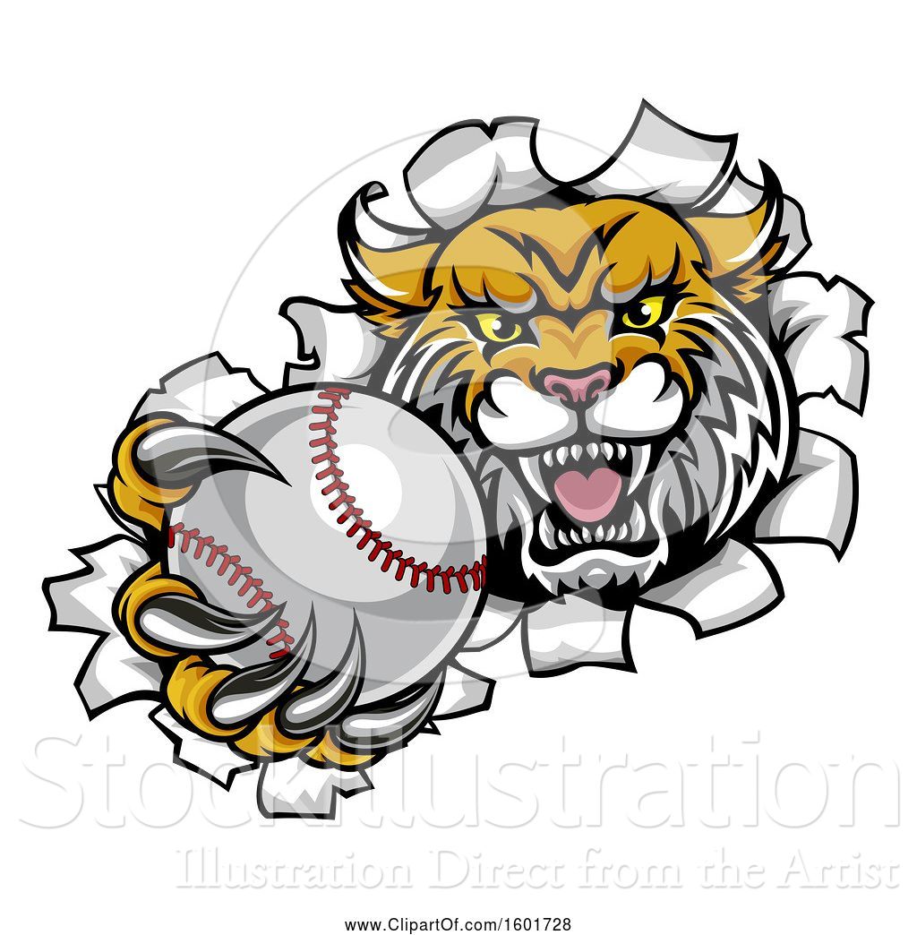 1024x1044 Vector Illustration Of Vicious Wildcat Mascot Breaking Through