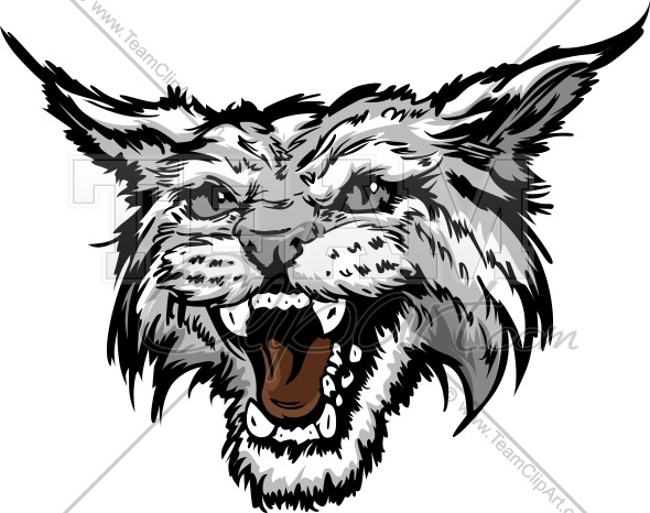 590x466 Wildcat Clipart Image Easy To Edit Vector Format