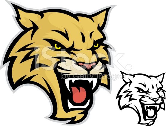 556x422 Clean And Simple Wildcat Head Mascot Great For Sports Teams