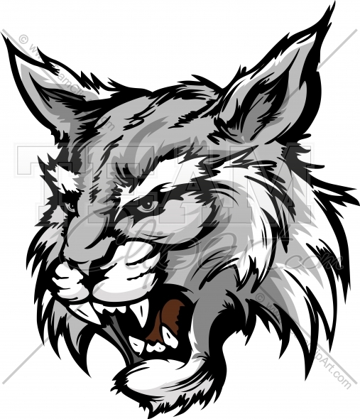 507x590 Wildcat Mascot Head Graphic Vector Illustration