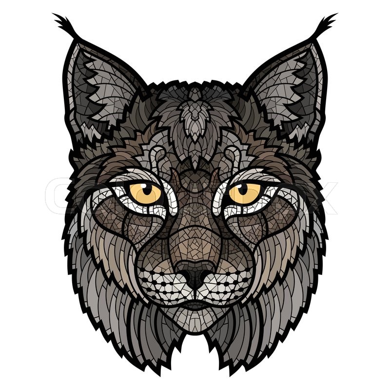 800x800 Wildcat Lynx Mascot Head This Is Stock Vector Colourbox