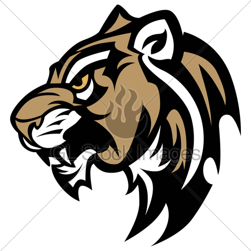 500x500 Cougar Panther Wildcat Mascot Head Vector Graphic Gl Stock Images
