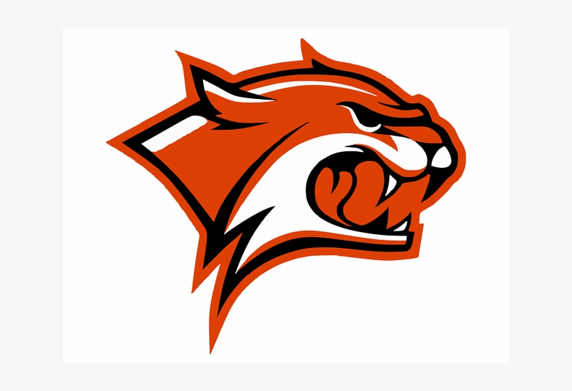 820x561 Download Free Png Orange Wildcat Logo Mascot Template Vector Unh