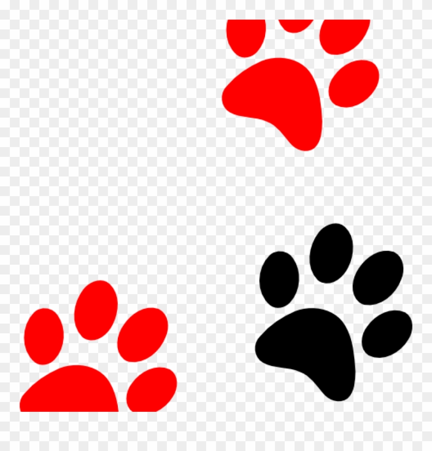 Paw Print Clip Art Blackred At Clker Vector Online 880x920 Paw Print Clip Art Blackred At Clker Vector Online