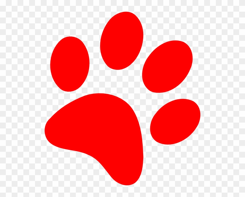 Download Wildcat Paw Print Vector at Vectorified.com | Collection ...