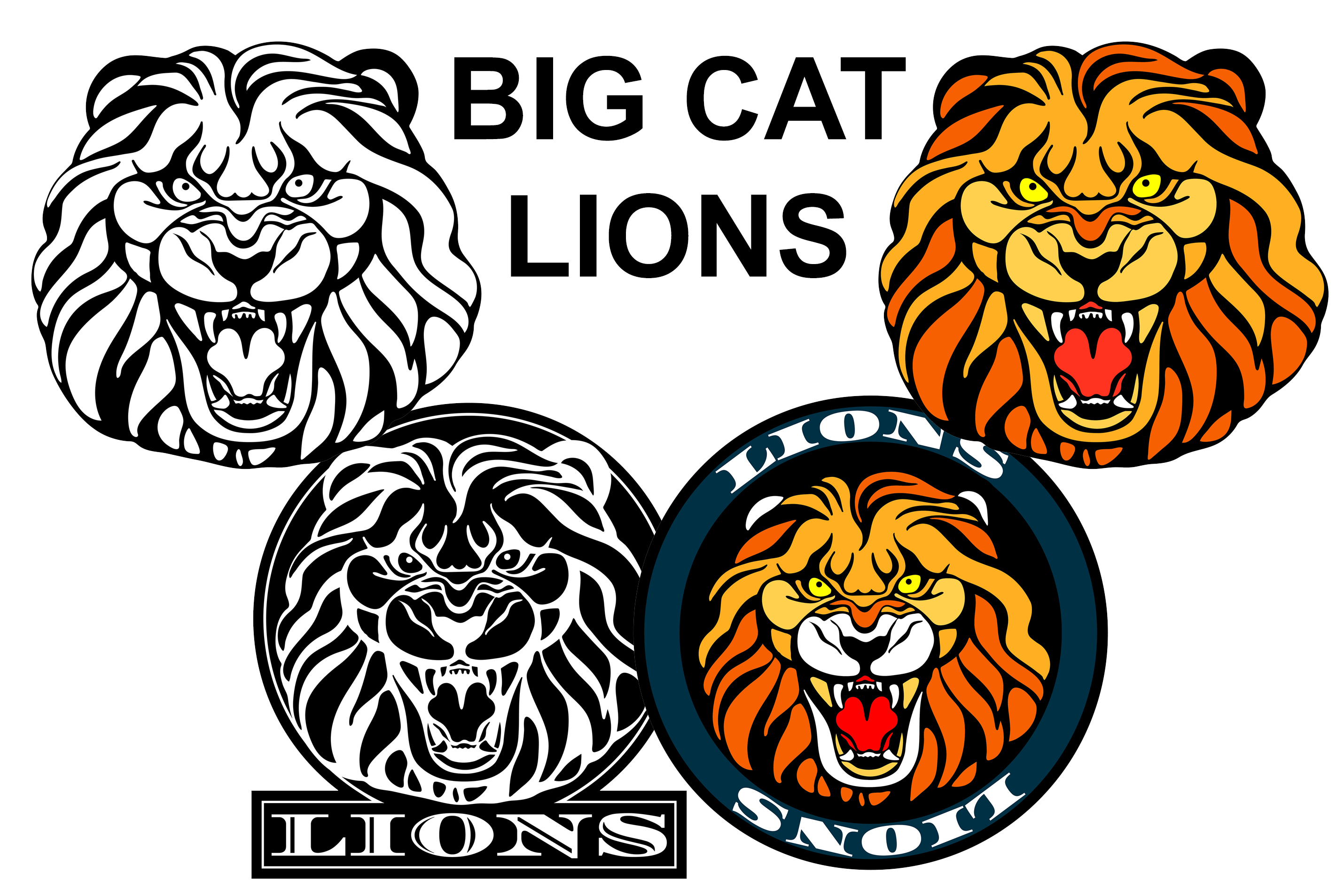 2860x1907 Lions Mascot Logo Wildcat Head Vector Illustration