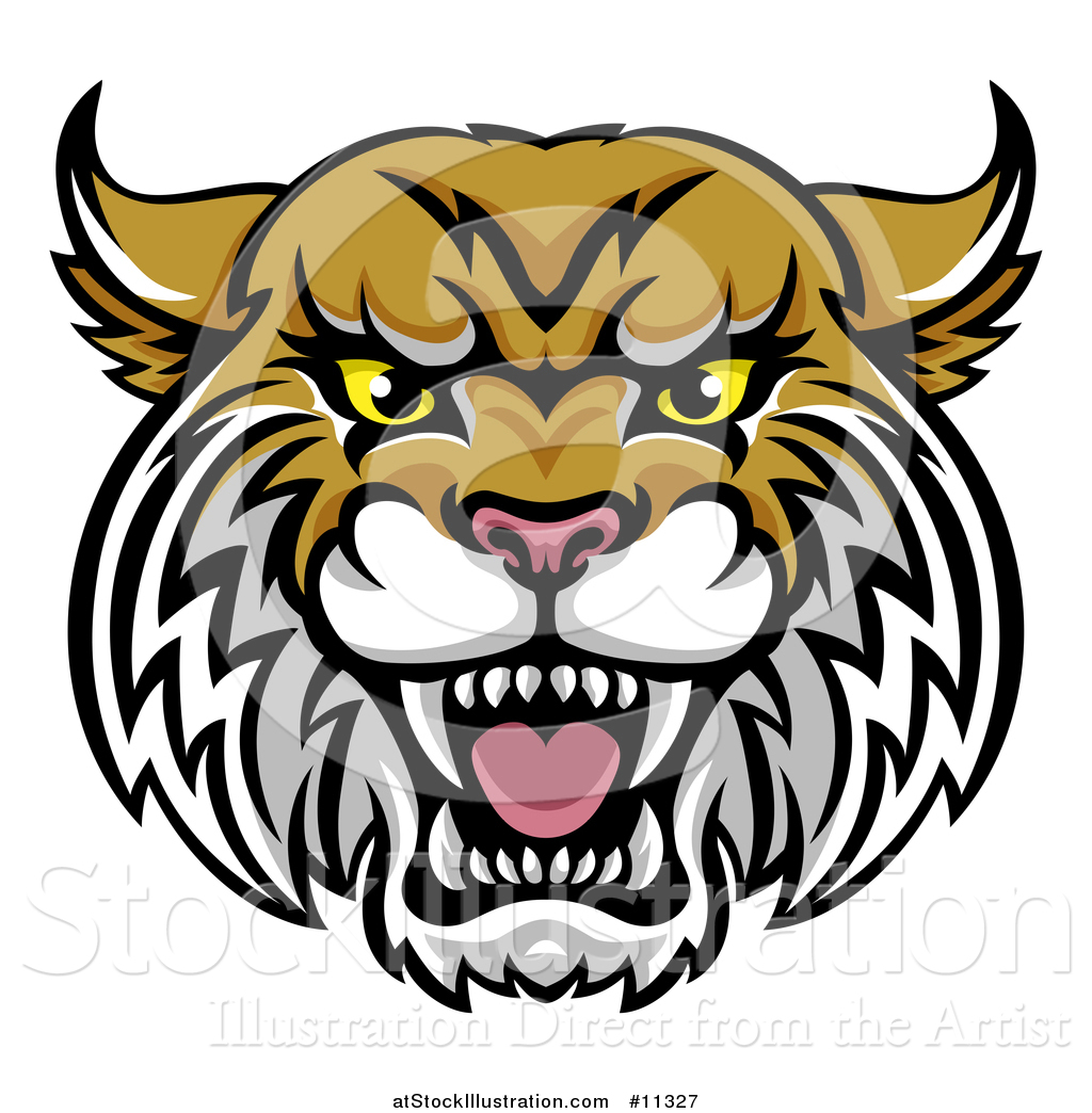 1024x1044 Vector Illustration Of A Vicious Wildcat Mascot Head