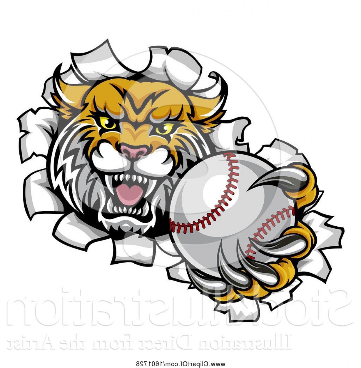 1228x1252 Wilcat Vector Art Catamart