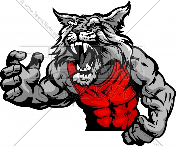 590x490 Wildcat Wrestling Logo Vector Image