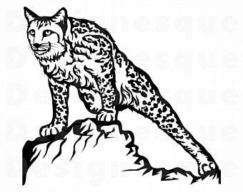 340x270 Wildcat Vector Etsy