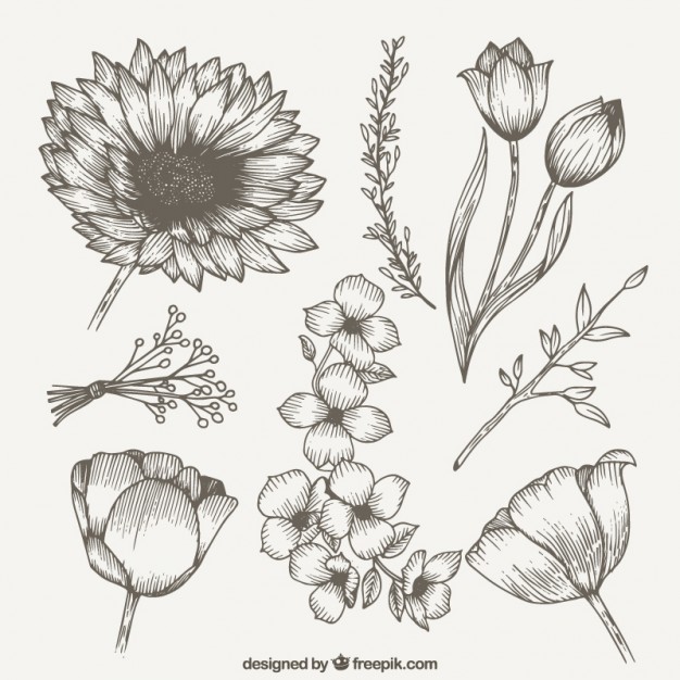 Wildflower Vectors, Photos And Free Download 626x626 Wildflower Vectors, Photos And Free Download