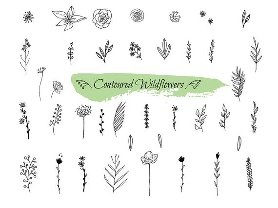 Wildflower Drawings Clipart Ornate Sketch Vector Of Flower Etsy 570x428 Wildflower Drawings Clipart Ornate Sketch Vector Of Flower Etsy