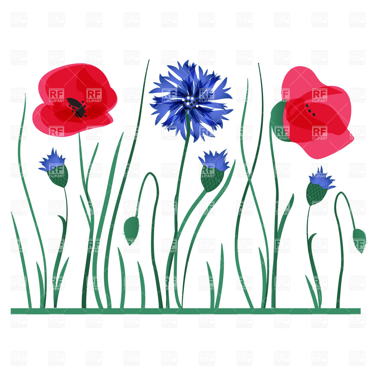 Download Wildflower Vector at Vectorified.com | Collection of ...