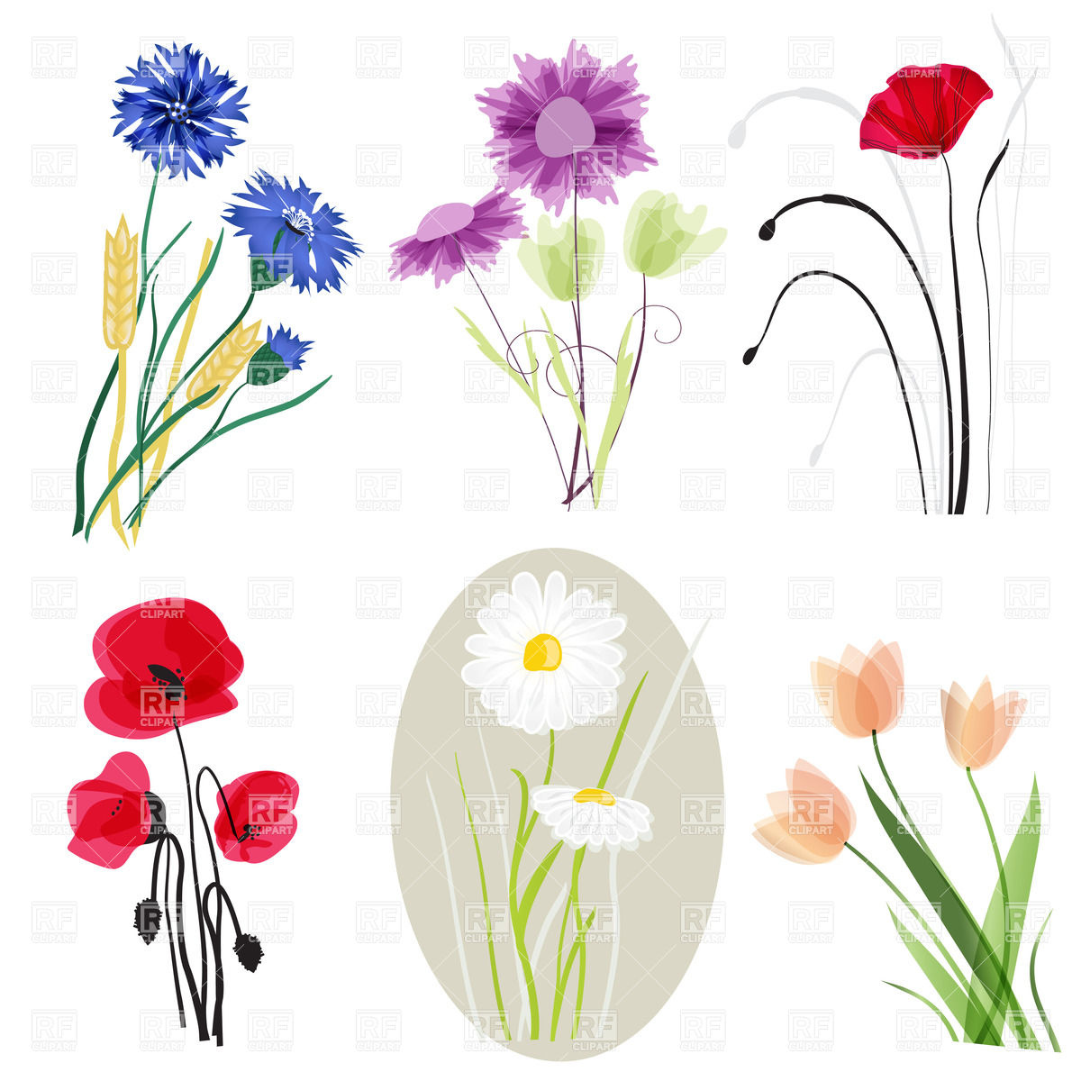 Wildflowers 1200x1200 Wildflowers