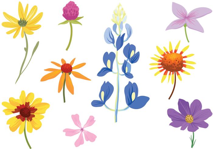 Wildflowers Free Vector Art 700x490 Wildflowers Free Vector Art
