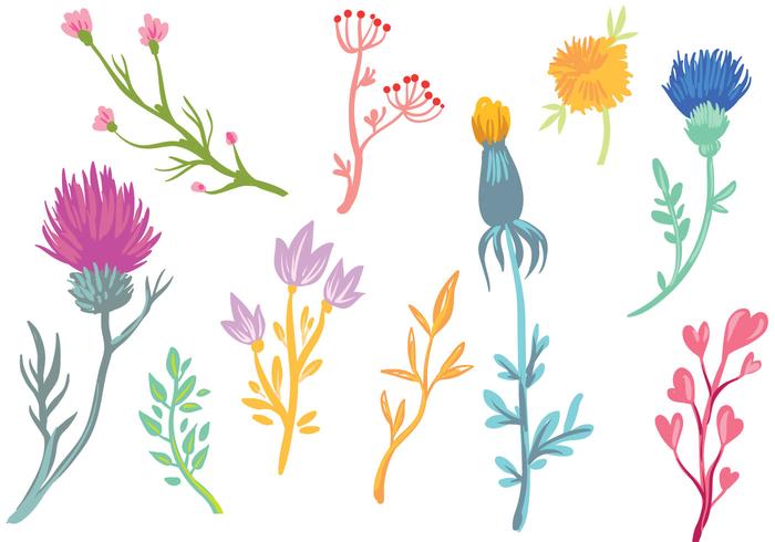 Free Wildflower Vectors 700x490 Free Wildflower Vectors