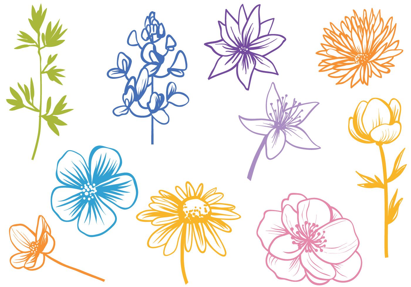 Free Wildflower Vectors Fonts Printables Vector Art, Vector 1400x980 Free Wildflower Vectors Fonts Printables Vector Art, Vector
