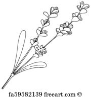 Free Art Print Of Wildflower Border An Illustration Of A Corner 180x195 Free Art Print Of Wildflower Border An Illustration Of A Corner