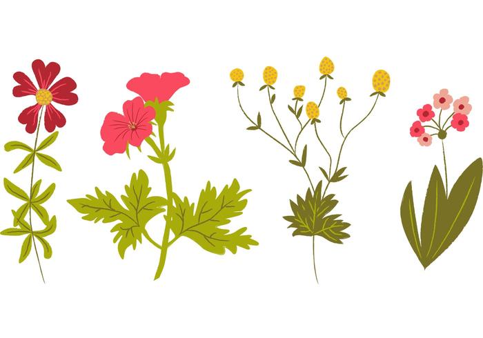 Hand Drawn Wildflowers Vectors 700x490 Hand Drawn Wildflowers Vectors