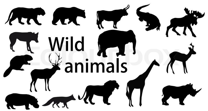 Vector Set Wild Animals Stock Vector Colourbox 800x428 Vector Set Wild Animals Stock Vector Colourbox