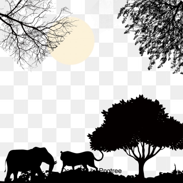 Wildlife Png, Vector, And Clipart With Transparent Background 360x360 Wildlife Png, Vector, And Clipart With Transparent Background