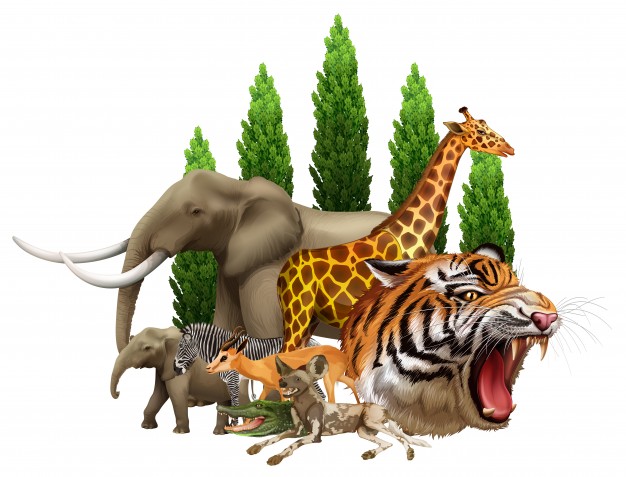 Wildlife Vector Premium Download 626x477 Wildlife Vector Premium Download