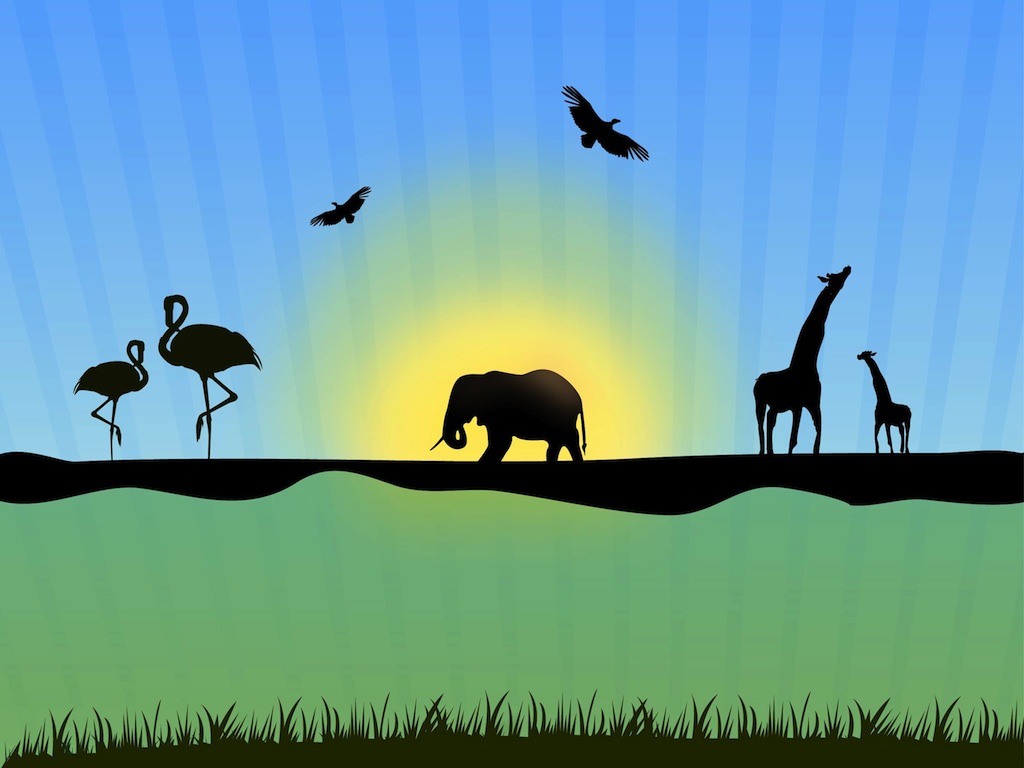 Wildlife Vector 1024x768 Wildlife Vector