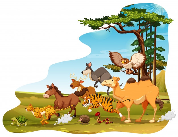Wildlife Vectors, Photos And Free Download 626x482 Wildlife Vectors, Photos And Free Download