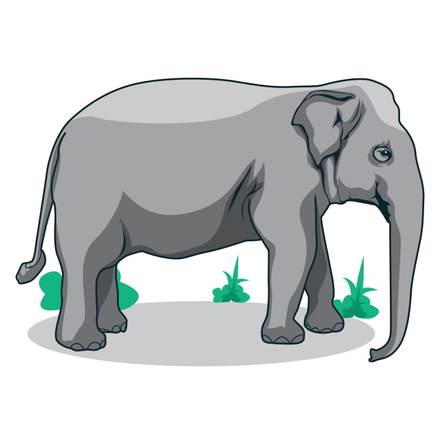 Elephant Vector Illustration Elephant Animal Wildlife Vector Art 640x640 Elephant Vector Illustration Elephant Animal Wildlife Vector Art