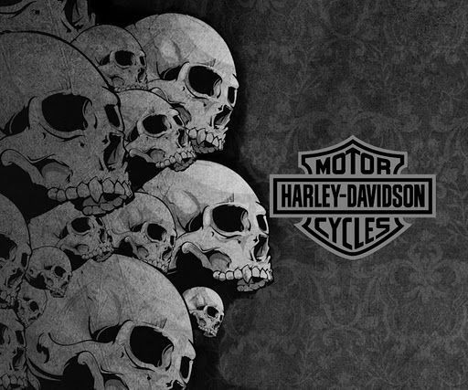 512x427 Harley Davidson Skull Logo History Bonus Wallpaper